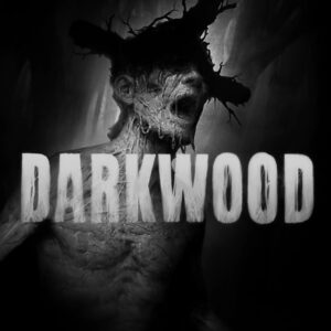 اکانت بازی Darkwood برای xbox